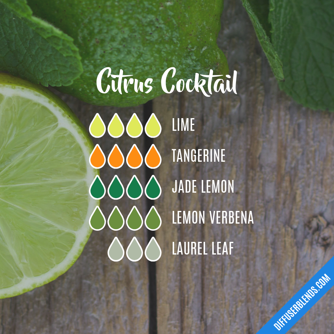 Citrus Cocktail | DiffuserBlends.com