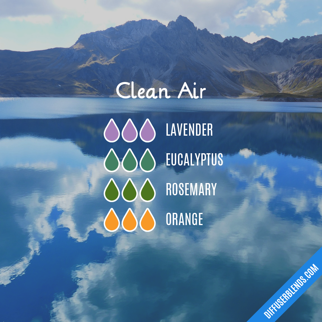 Clean Air — Essential Oil Diffuser Blend