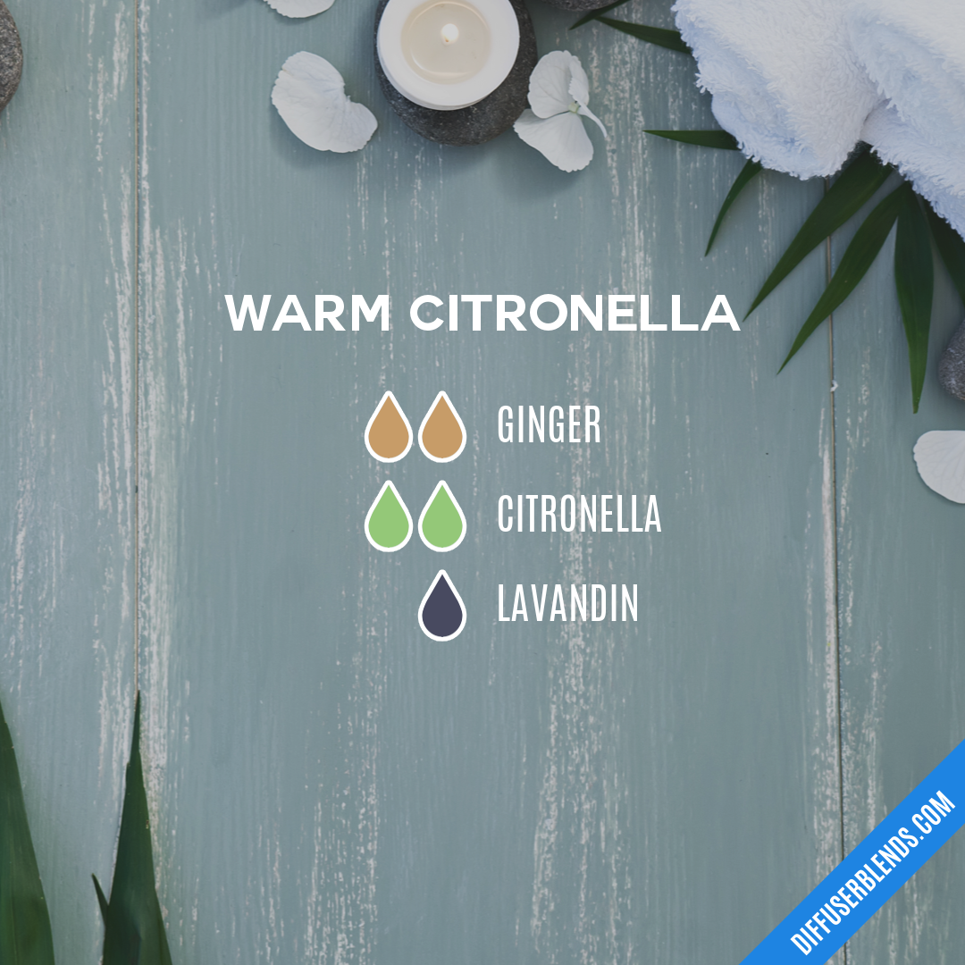 Warm Citronella — Essential Oil Diffuser Blend