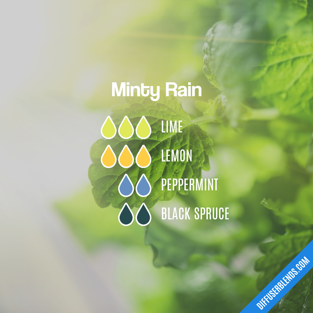 Minty Rain — Essential Oil Diffuser Blend