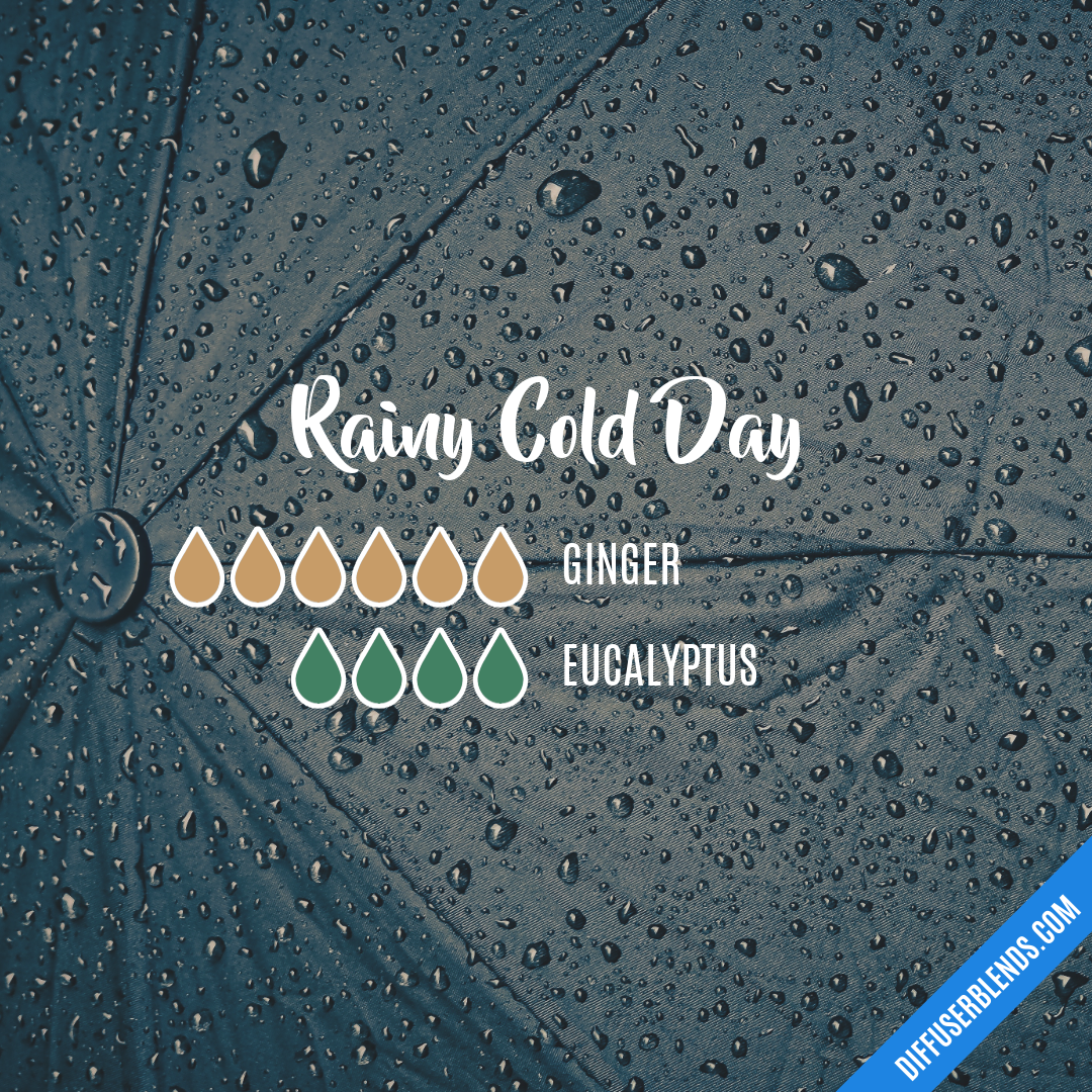 Rainy Cold Day — Essential Oil Diffuser Blend