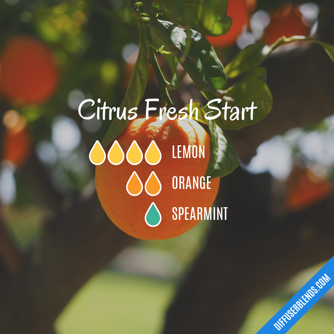 Citrus Fresh Start — Essential Oil Diffuser Blend