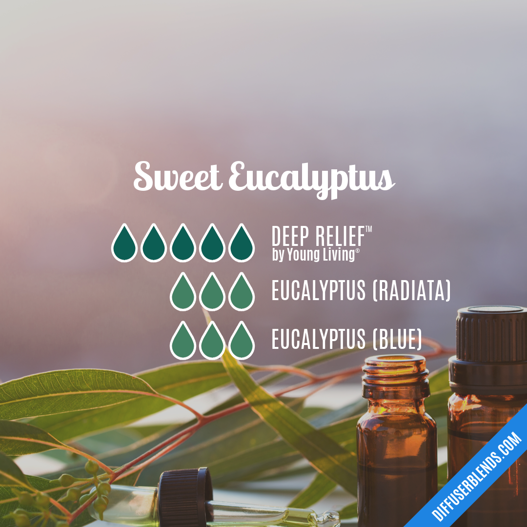 Sweet Eucalyptus — Essential Oil Diffuser Blend