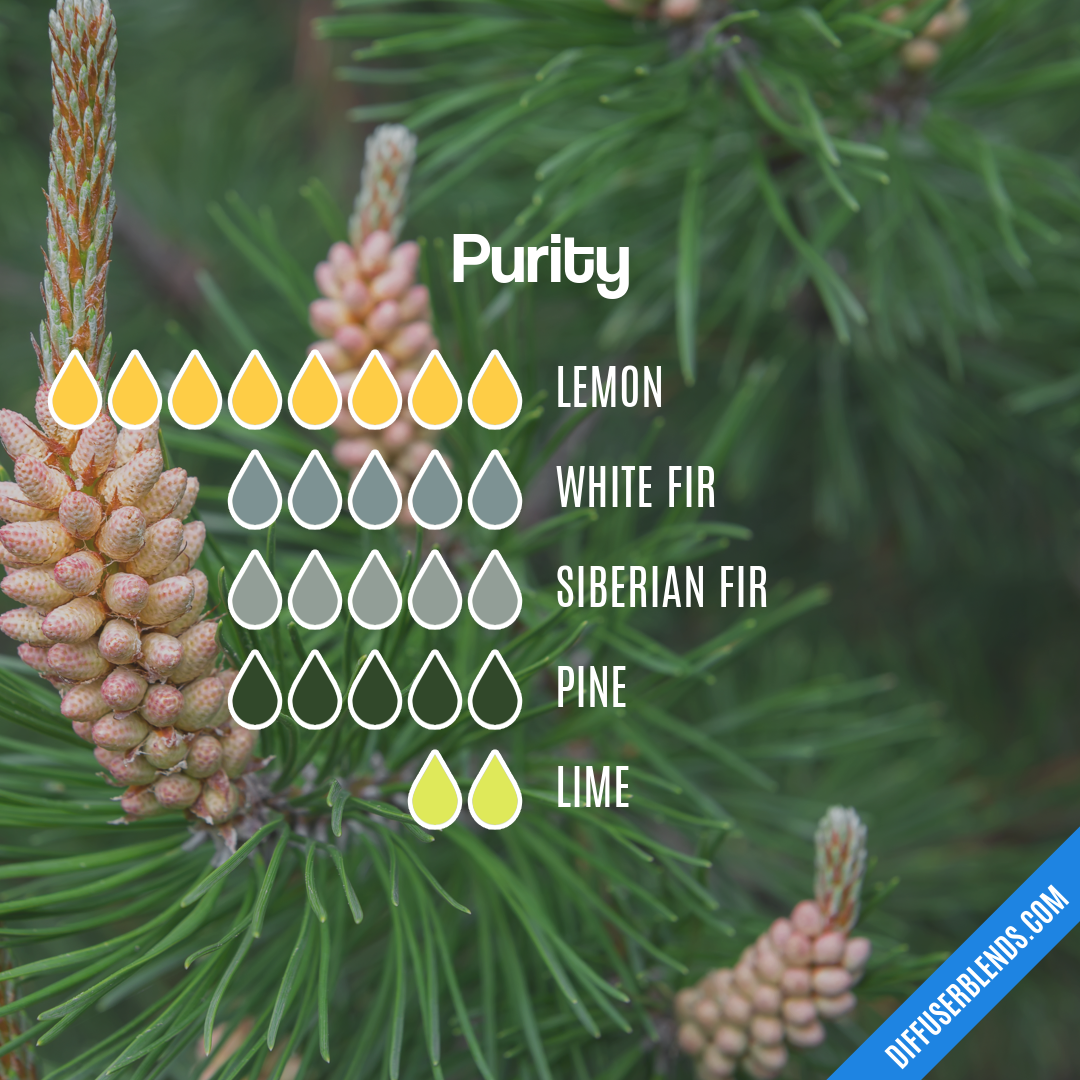 Purity — Essential Oil Diffuser Blend