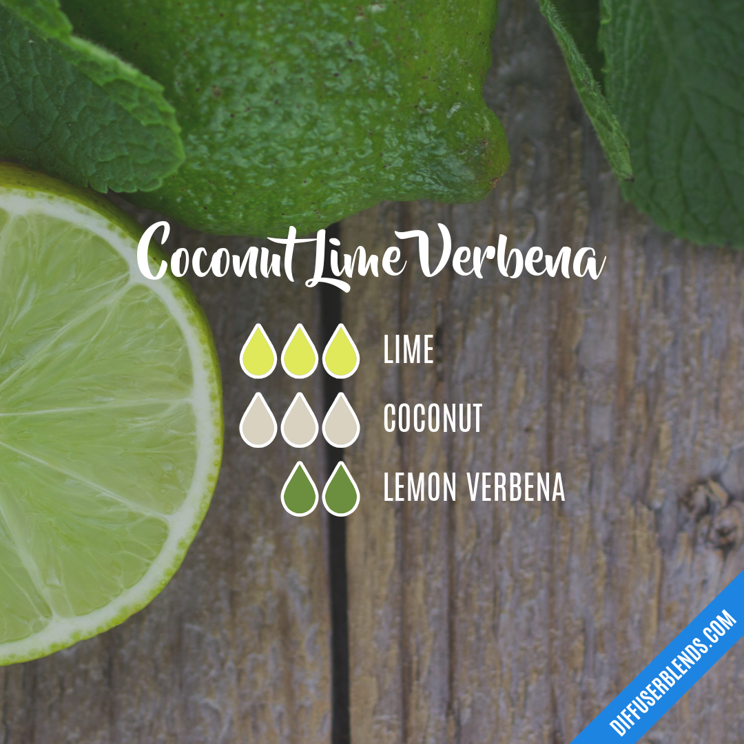Coconut Lime Verbena — Essential Oil Diffuser Blend