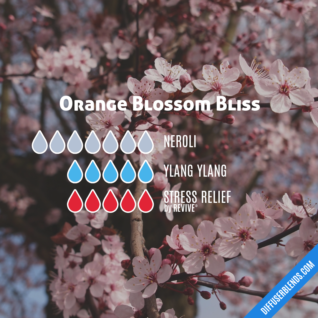 Orange Blossom Bliss — Essential Oil Diffuser Blend