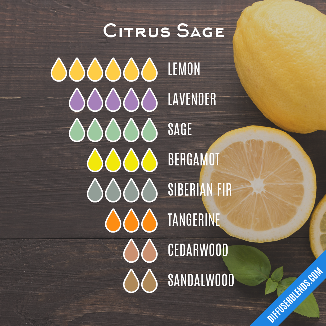 Citrus Sage — Essential Oil Diffuser Blend