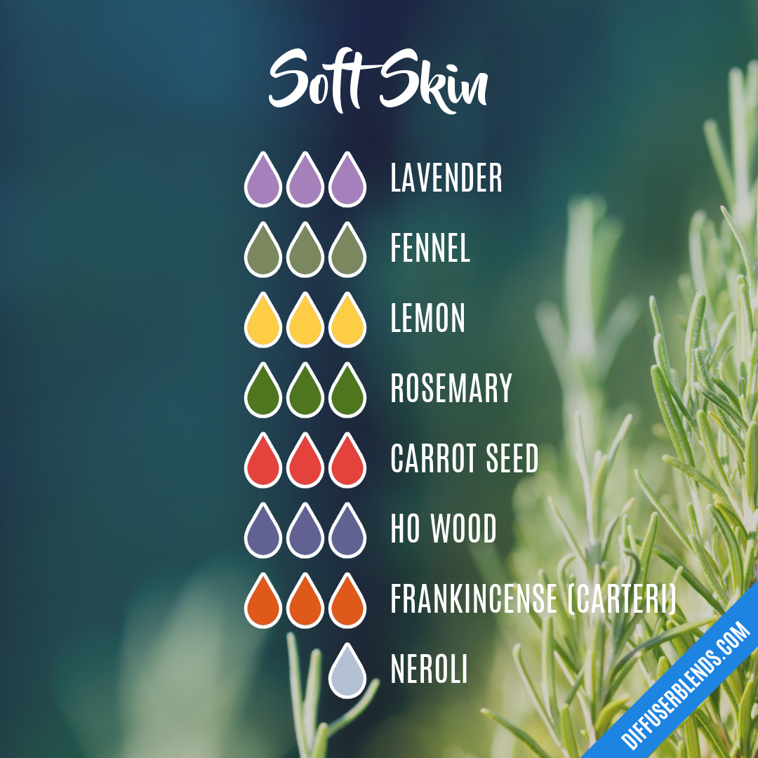 Soft Skin Essential Oil Blend – Plant Therapy