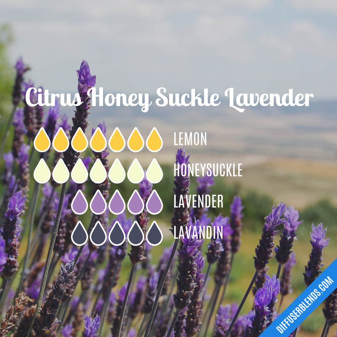 Citrus Honey Suckle Lavender — Essential Oil Diffuser Blend