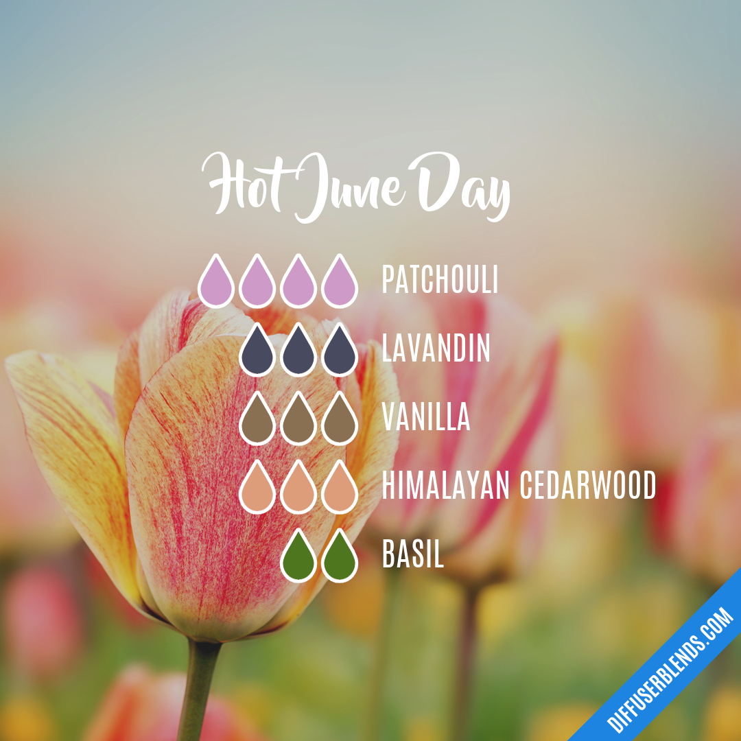hot-june-day-diffuserblends