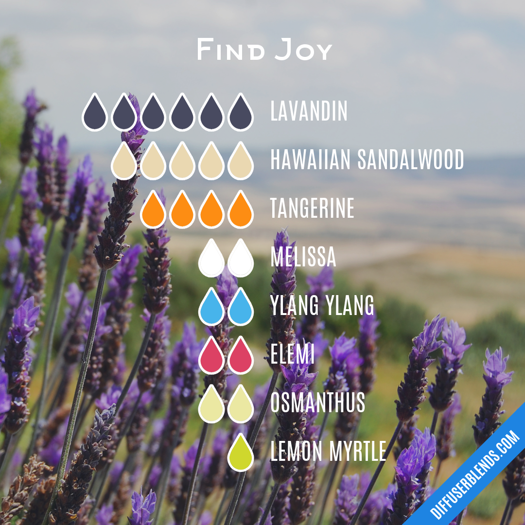 Find Joy — Essential Oil Diffuser Blend