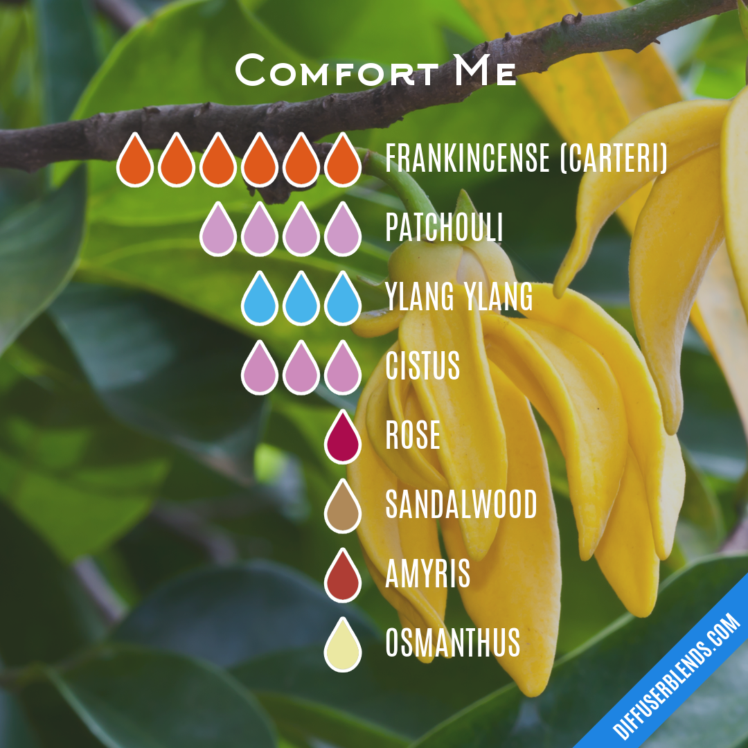 Comfort Me — Essential Oil Diffuser Blend