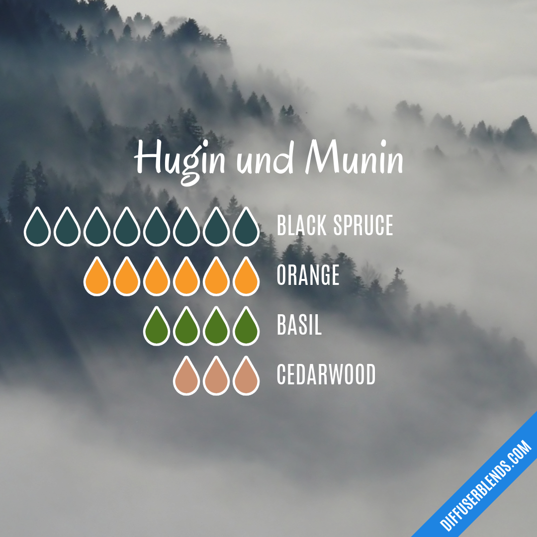 Hugin und Munin