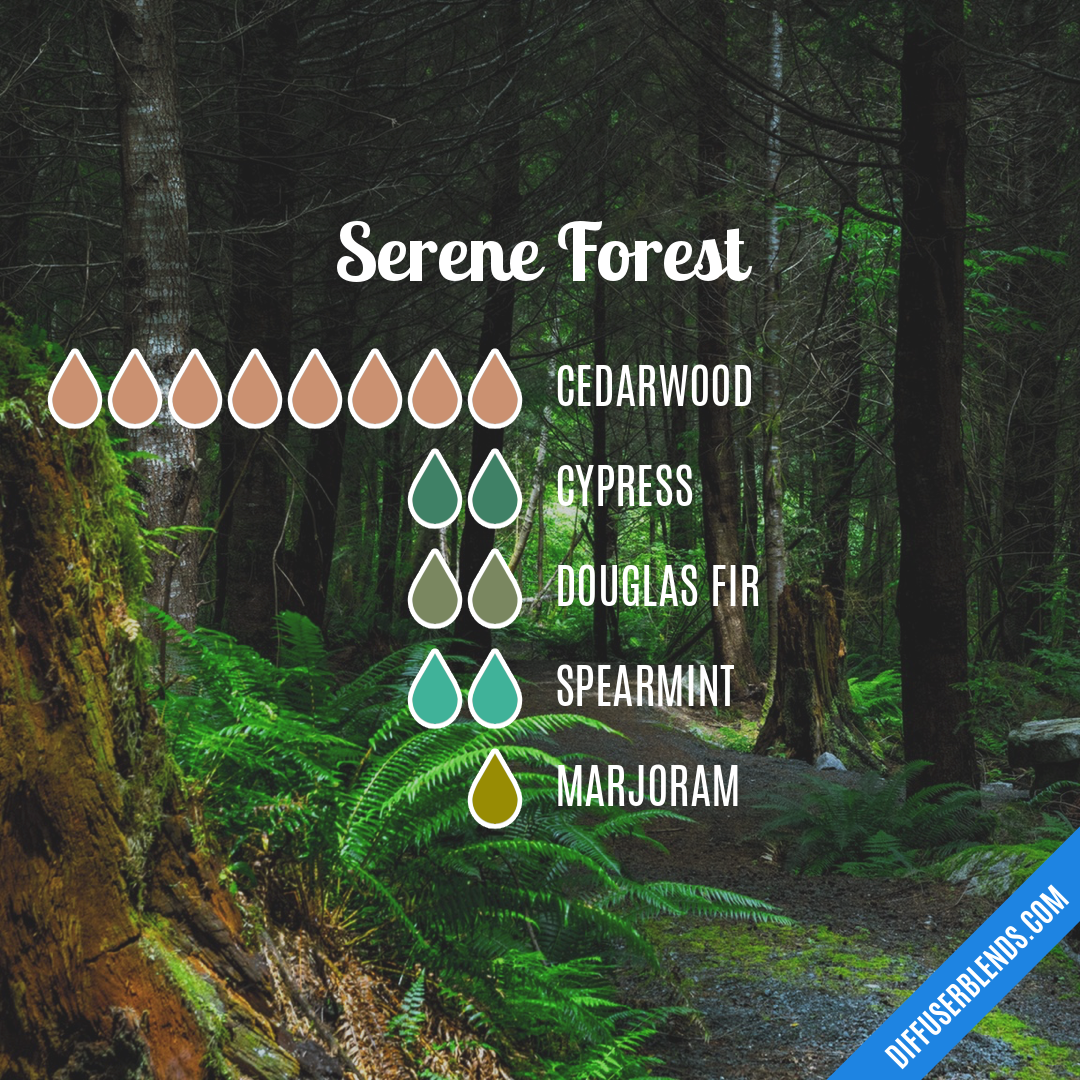 Serene Forest — Essential Oil Diffuser Blend