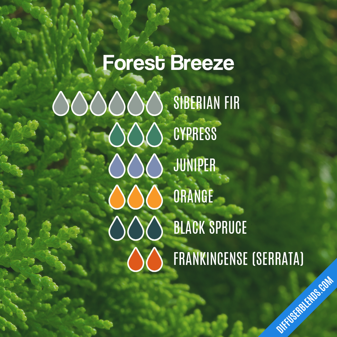 Forest Breeze — Essential Oil Diffuser Blend
