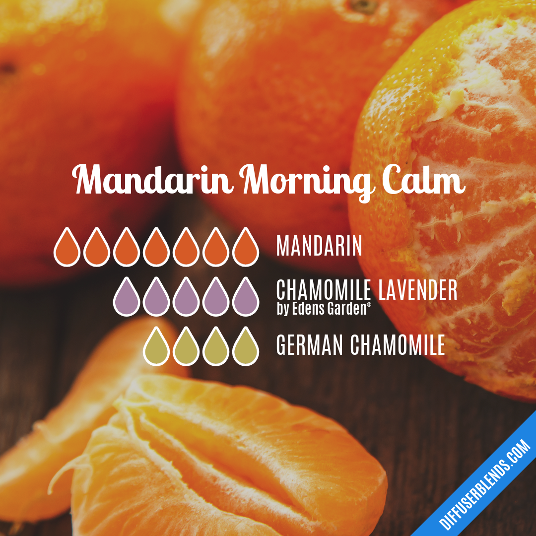 Mandarin Morning Calm
