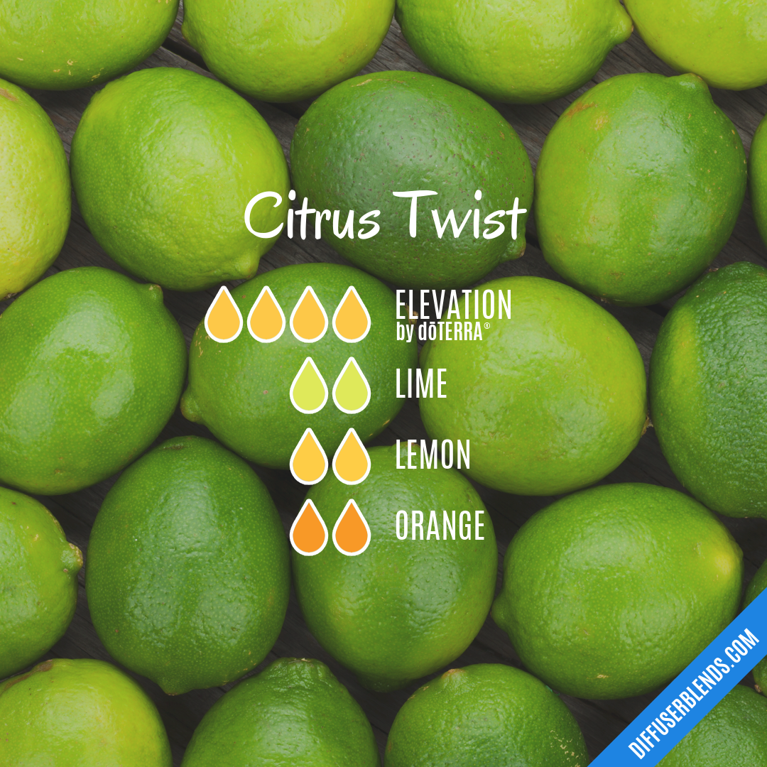 Citrus Twist — Essential Oil Diffuser Blend