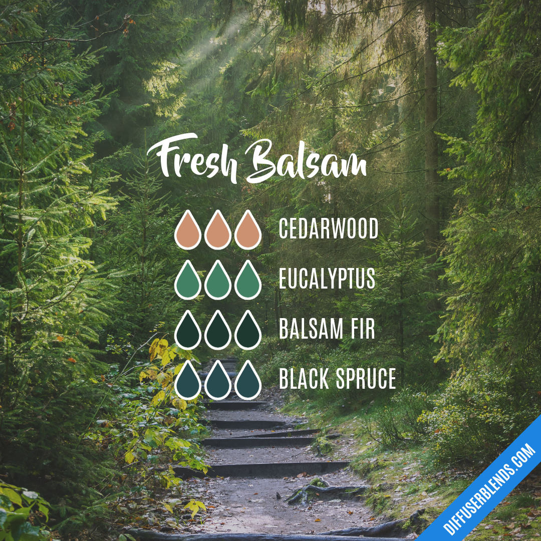 Fresh Balsam — Essential Oil Diffuser Blend