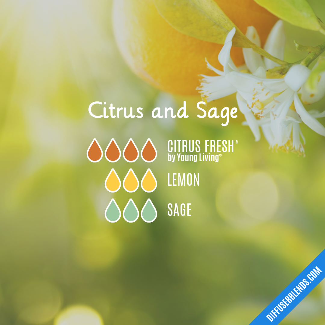 Citrus and Sage — Essential Oil Diffuser Blend