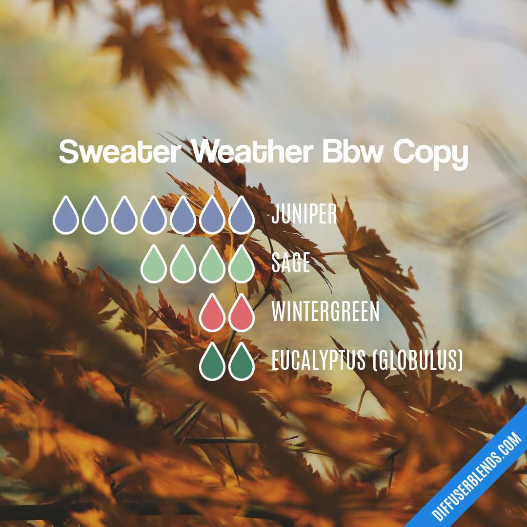 Sweater Weather Bbw Copy — Essential Oil Diffuser Blend