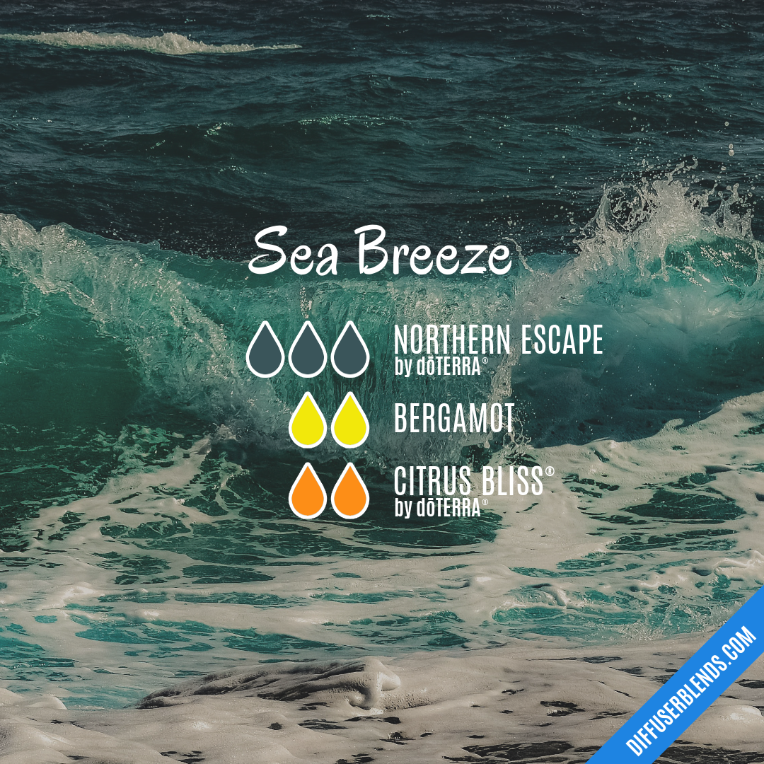 Sea Breeze — Essential Oil Diffuser Blend