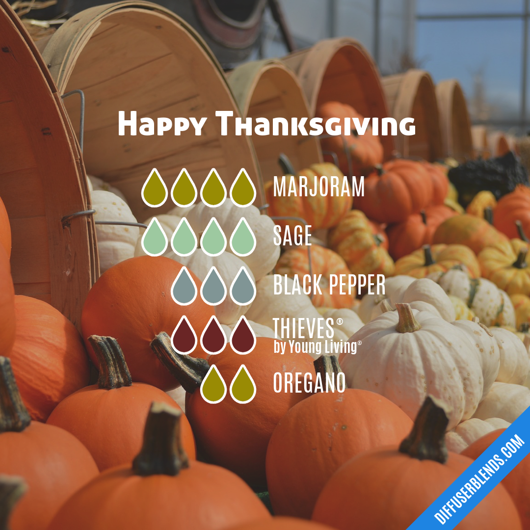 Happy Thanksgiving — Essential Oil Diffuser Blend