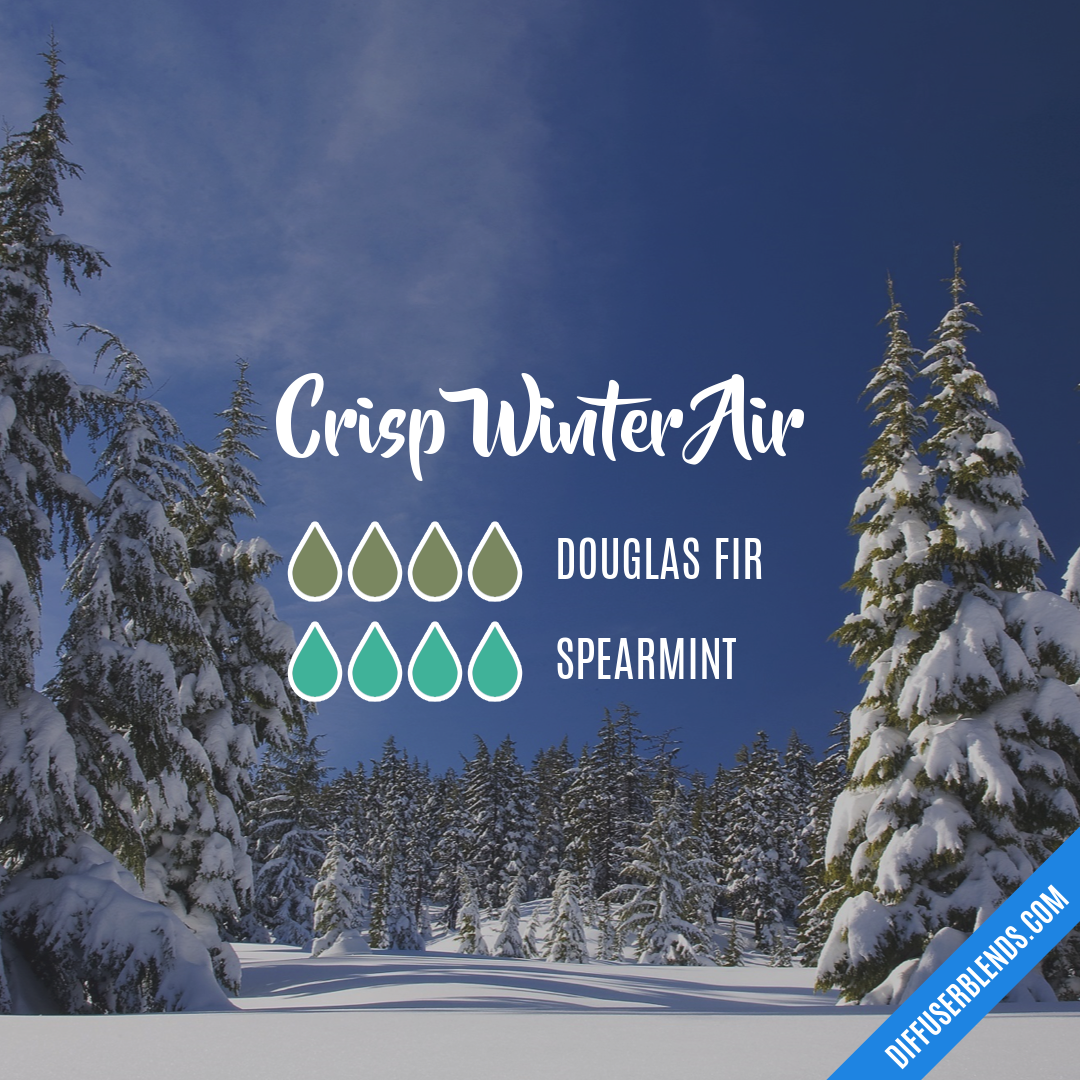 Crisp Winter Air — Essential Oil Diffuser Blend