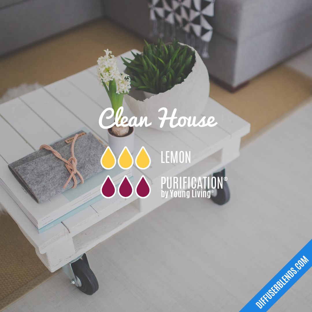 Clean House — Essential Oil Diffuser Blend