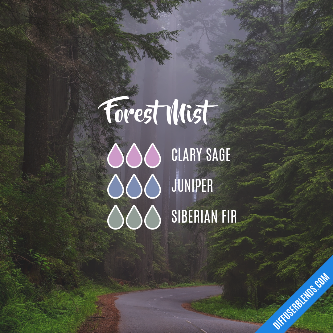Forest Mist — Essential Oil Diffuser Blend
