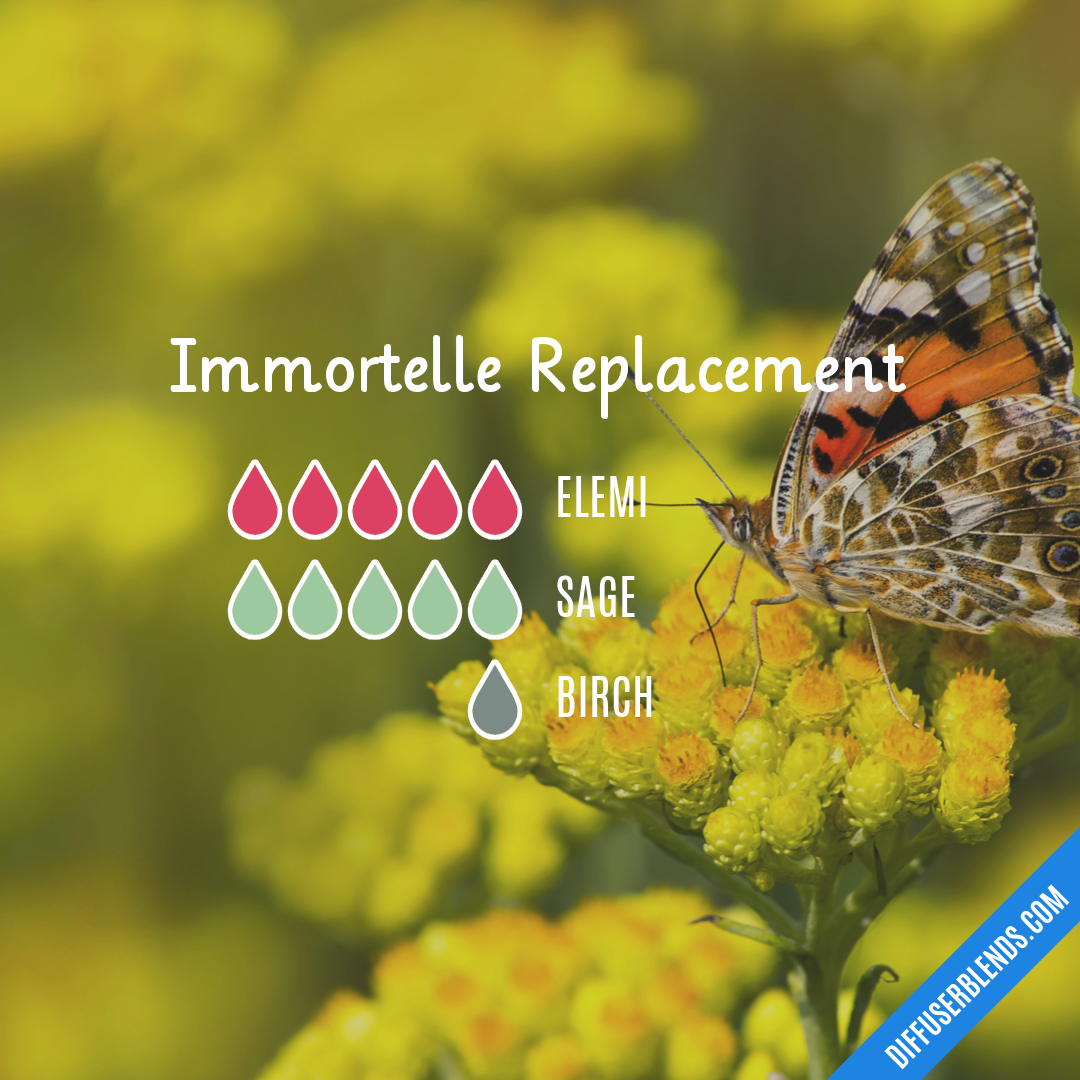 Immortelle Replacement — Essential Oil Diffuser Blend