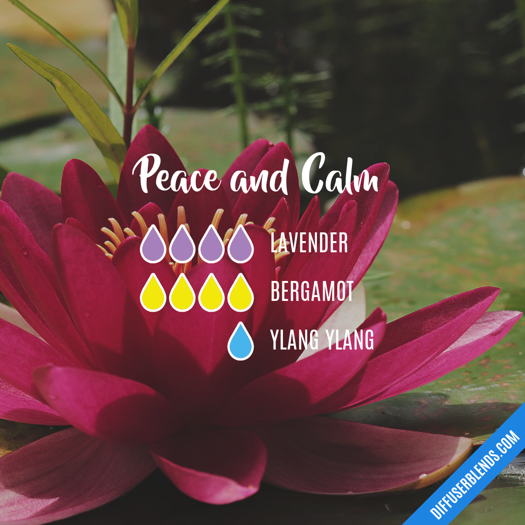 Peace and Calm — Essential Oil Diffuser Blend