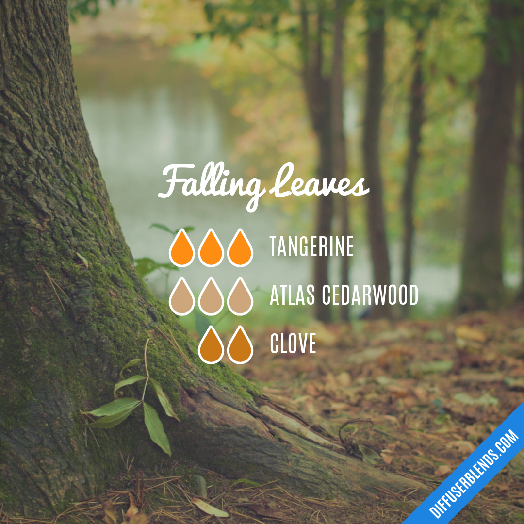 Falling Leaves — Essential Oil Diffuser Blend