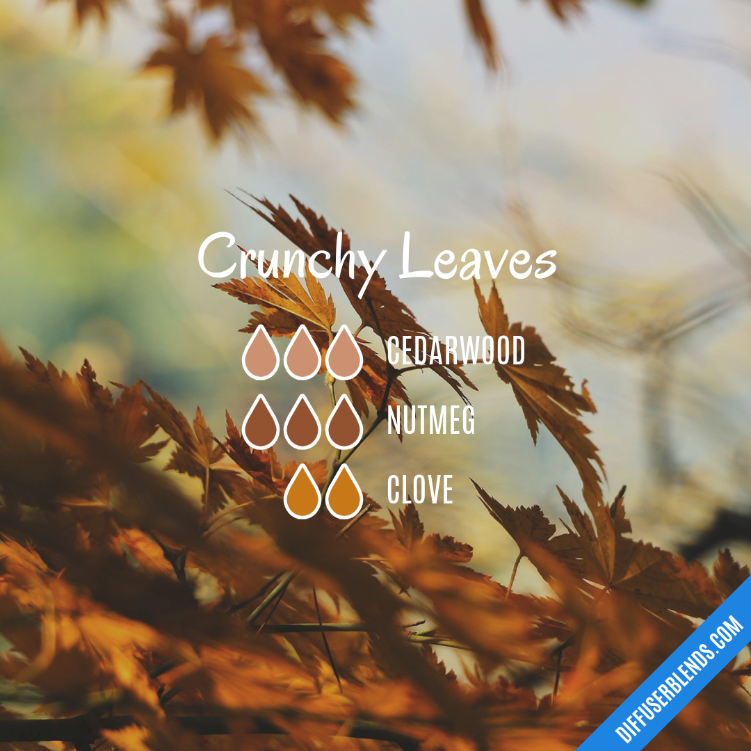 Crunchy Leaves — Essential Oil Diffuser Blend