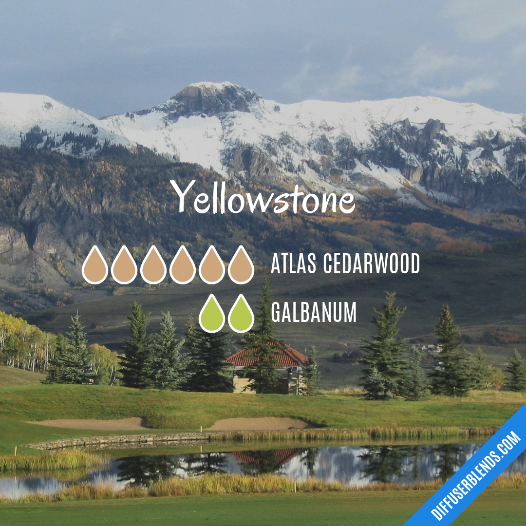 Yellowstone — Essential Oil Diffuser Blend