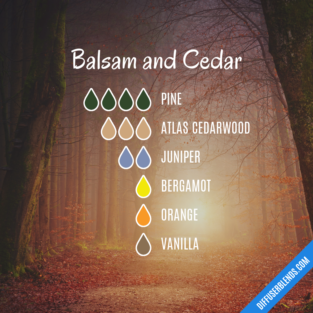 Balsam and Cedar — Essential Oil Diffuser Blend