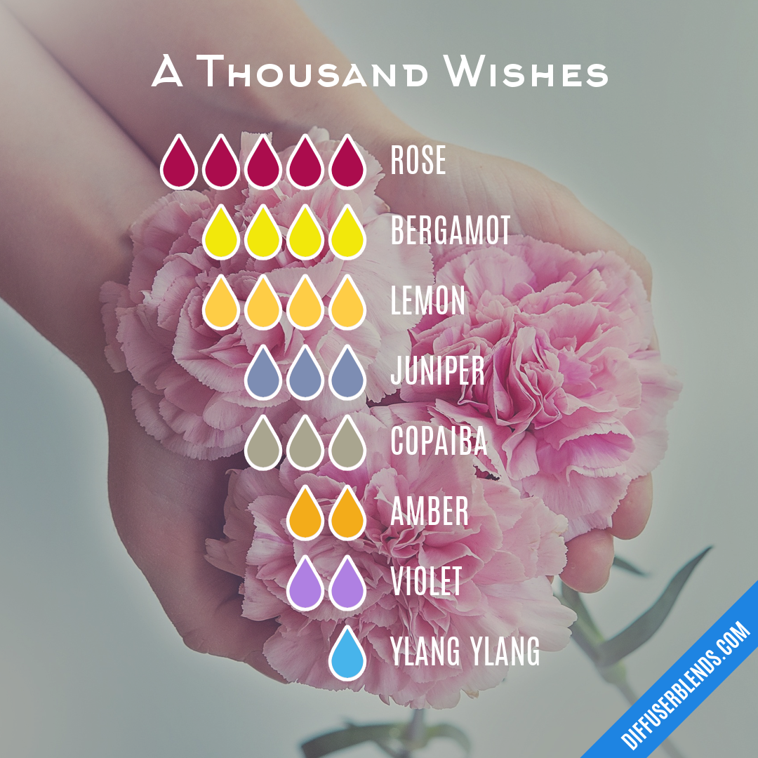 A Thousand Wishes — Essential Oil Diffuser Blend