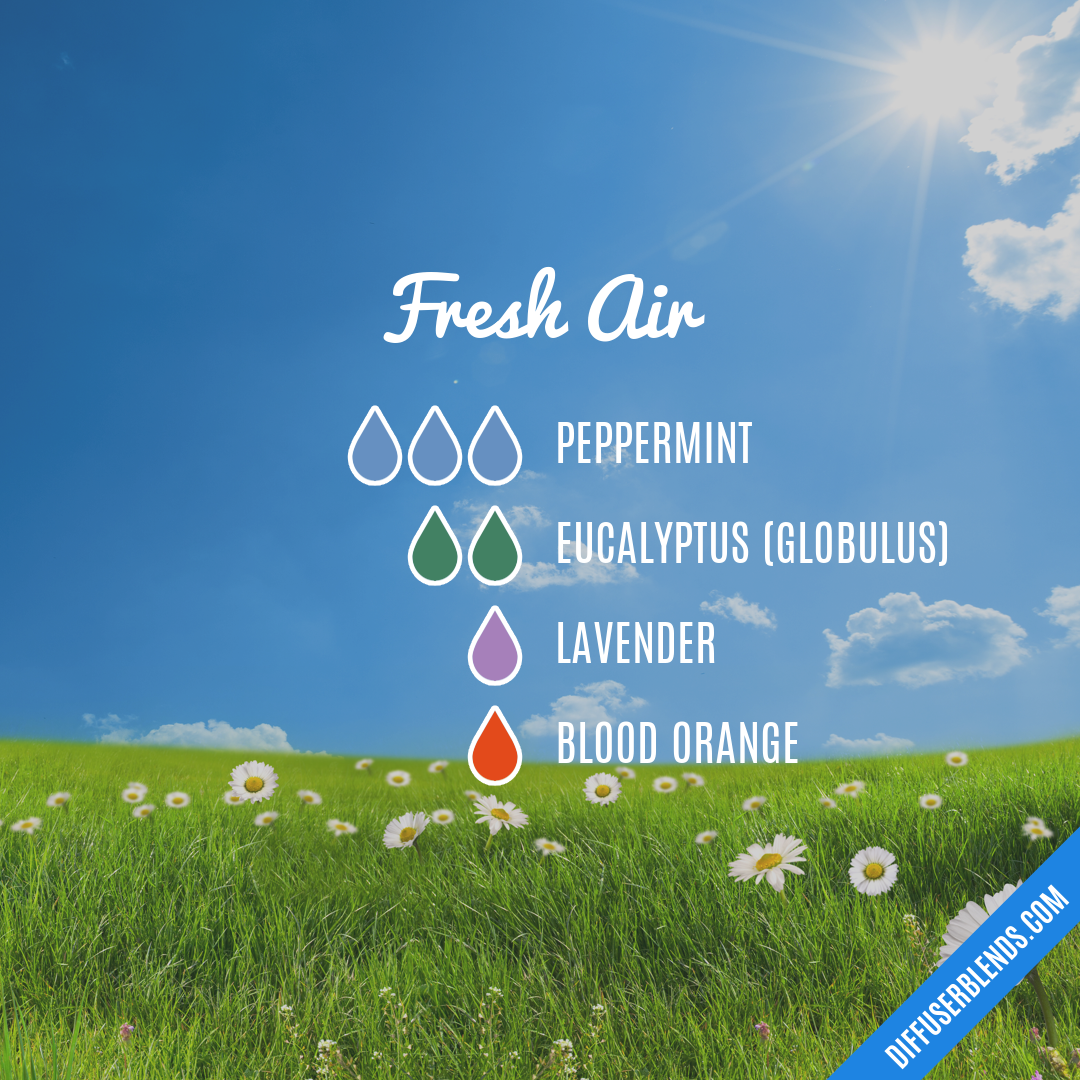 Fresh Air — Essential Oil Diffuser Blend