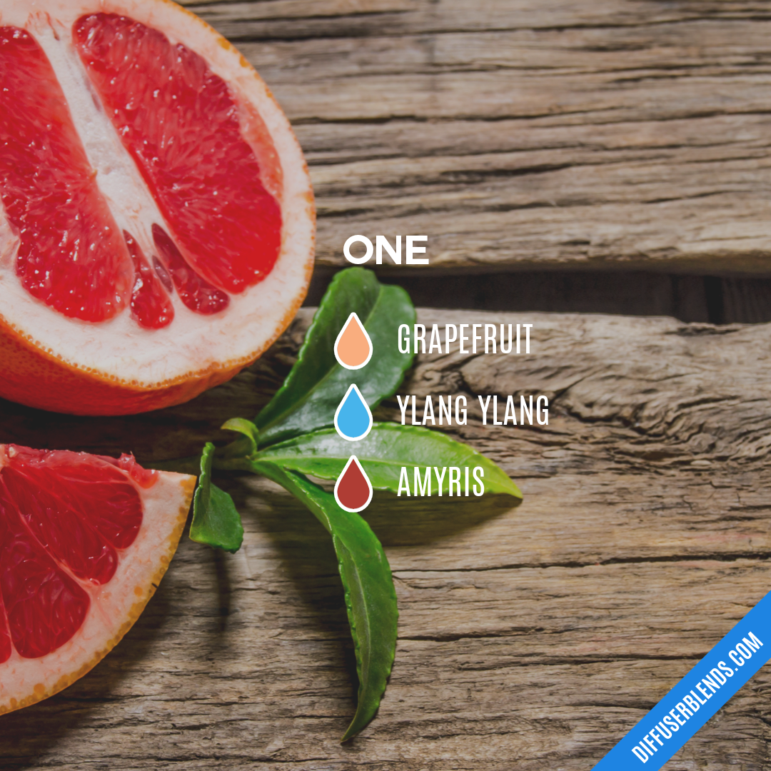 One — Essential Oil Diffuser Blend