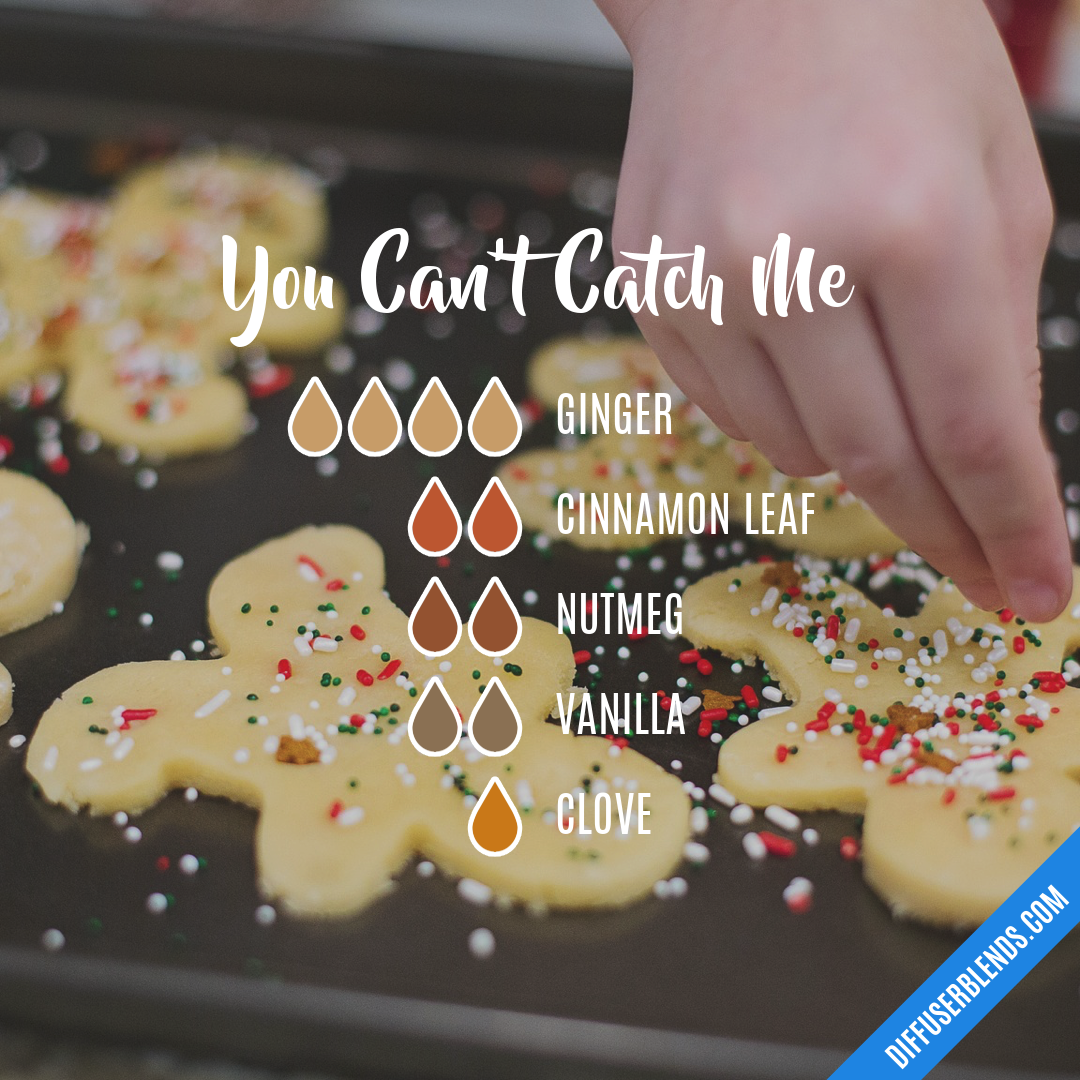 You Can't Catch Me — Essential Oil Diffuser Blend