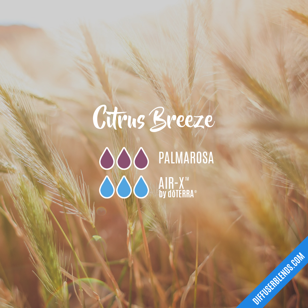 Citrus Breeze — Essential Oil Diffuser Blend