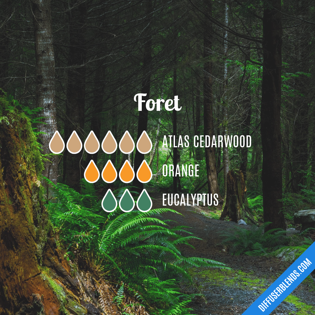 Foret — Essential Oil Diffuser Blend