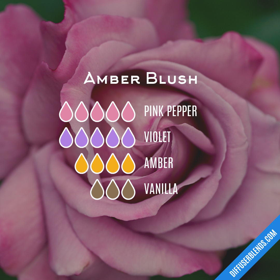 Amber Blush — Essential Oil Diffuser Blend