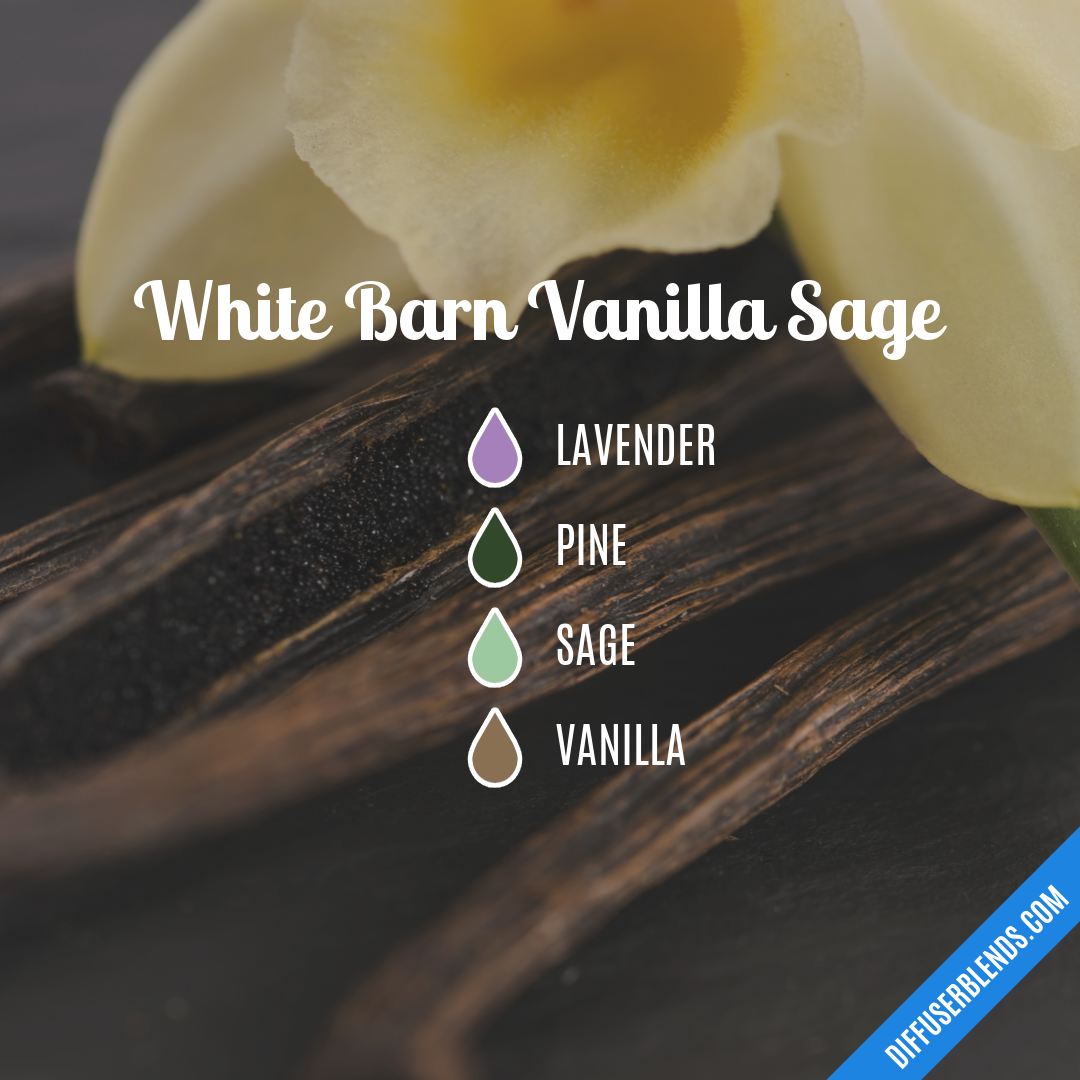 White Barn Vanilla Sage — Essential Oil Diffuser Blend