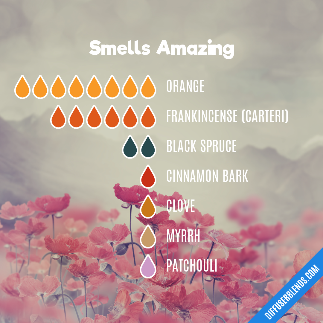 Smells Amazing — Essential Oil Diffuser Blend