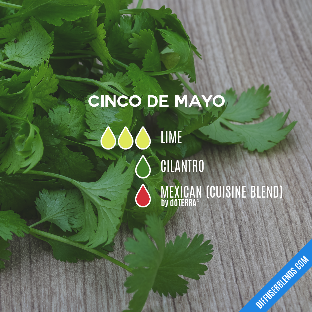 Cinco de Mayo — Essential Oil Diffuser Blend