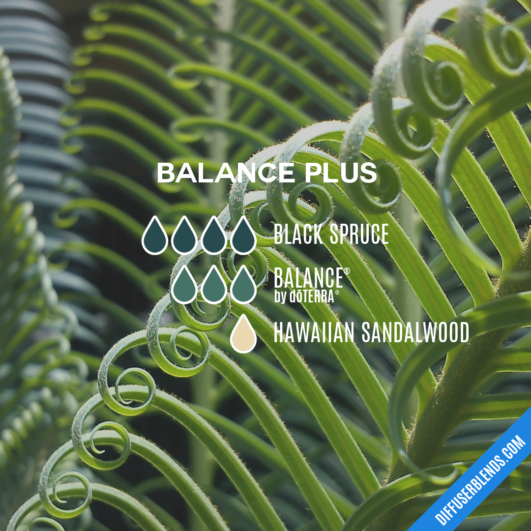 Balance Plus — Essential Oil Diffuser Blend