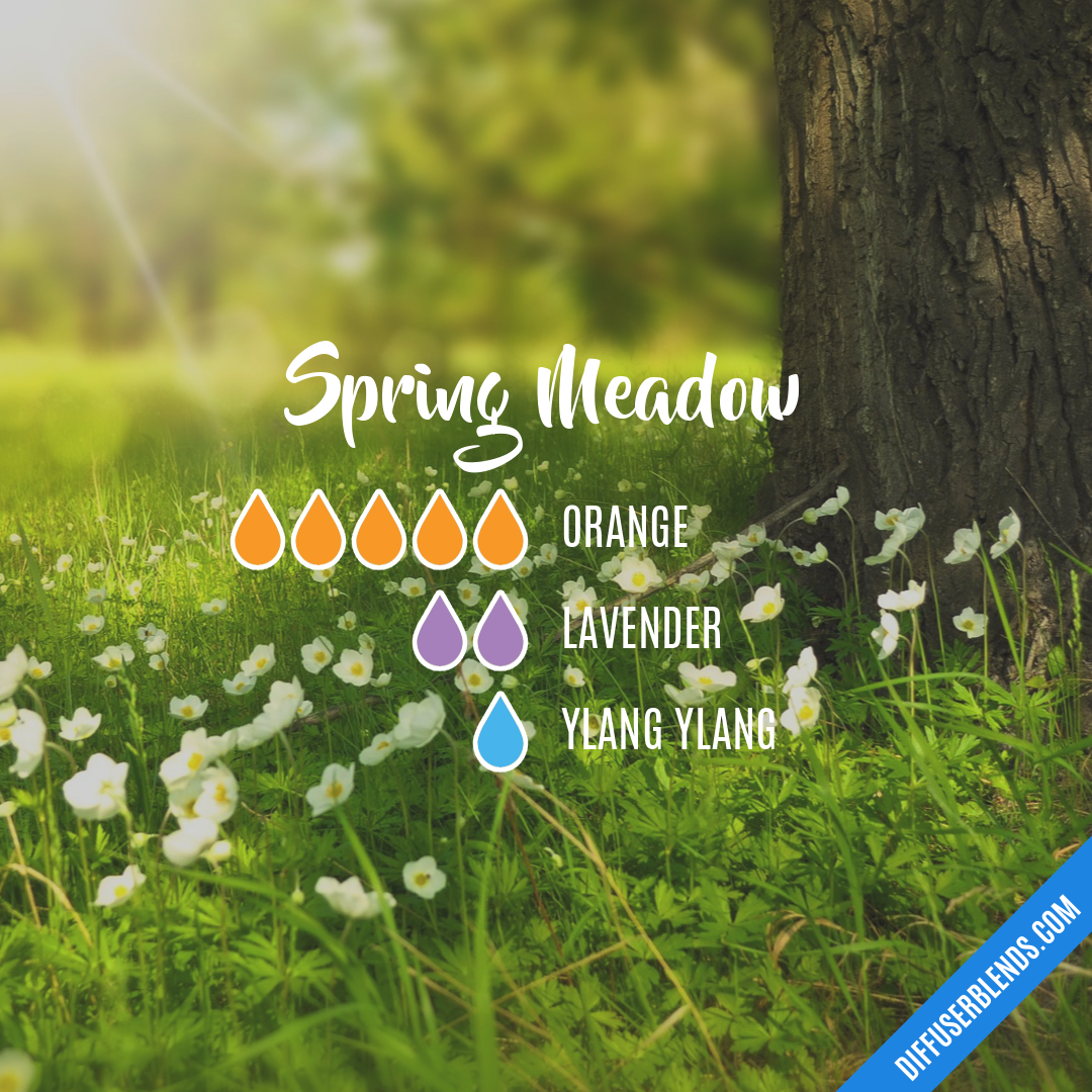 Spring Meadow — Essential Oil Diffuser Blend