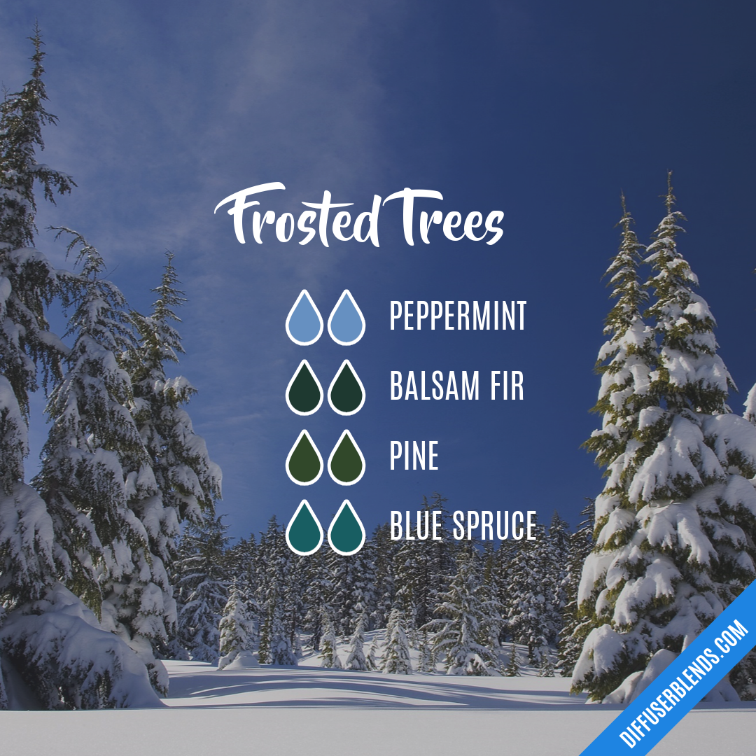 Frosted Trees — Essential Oil Diffuser Blend
