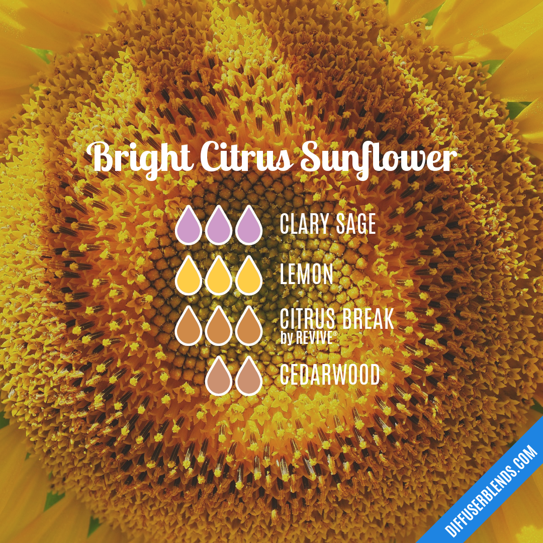 Bright Citrus Sunflower — Essential Oil Diffuser Blend