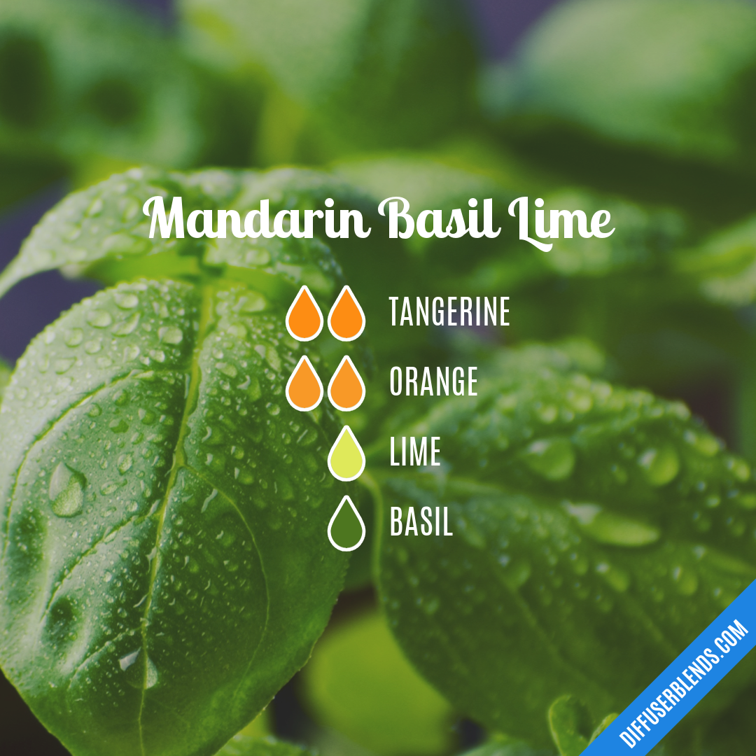 Mandarin Basil Lime — Essential Oil Diffuser Blend